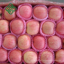 Chine qinguan pommes délicieux croustillant fuji pomme fraîche